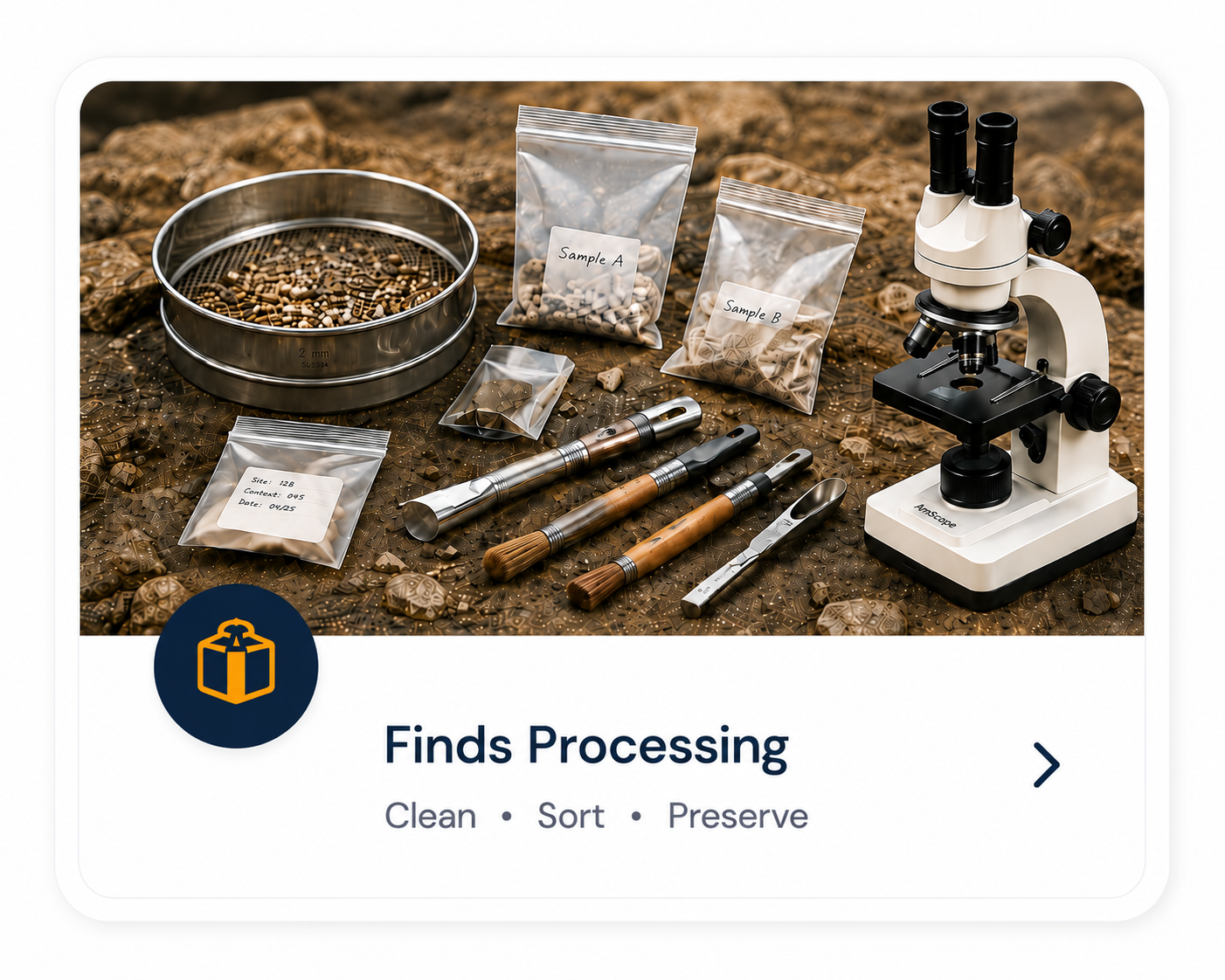 Finds Processing